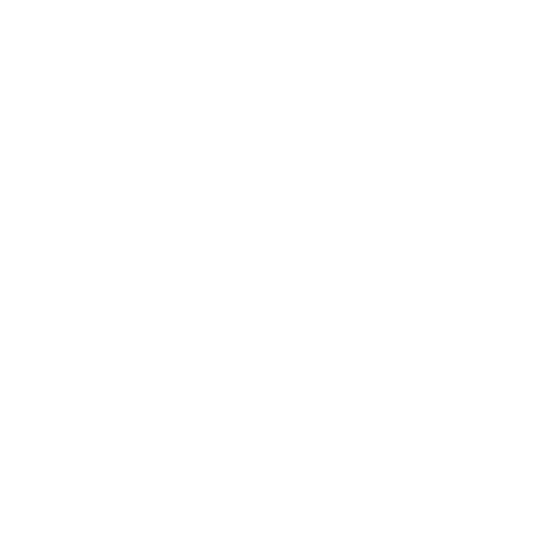 Logo New Chase MINI